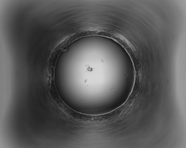 X0000100311064200806051451