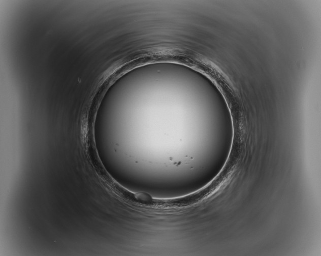 X0000100311065200806051451