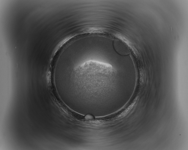 X0000100311066200806051451