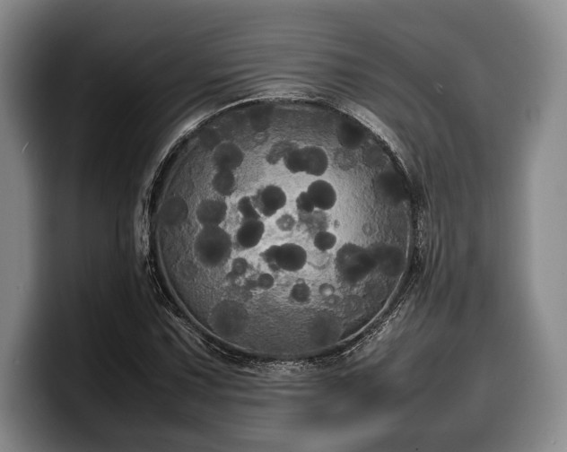 X0000100311067200806051451