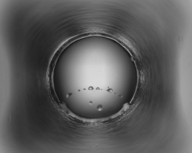 X0000100311068200806051451