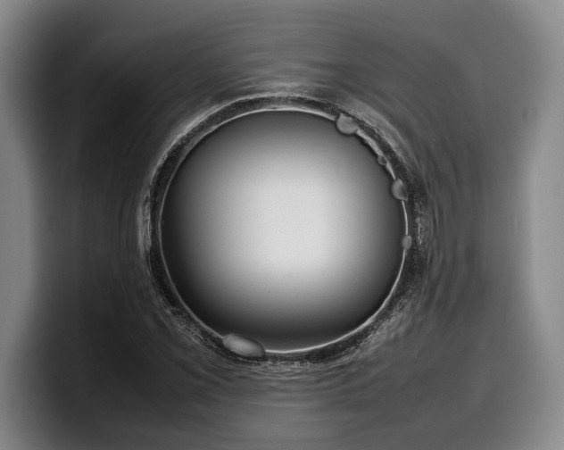 X0000100311069200806051451