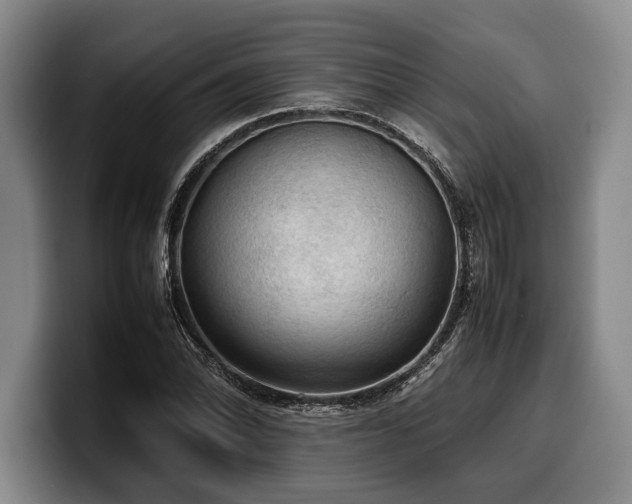 X0000100311070200806051451