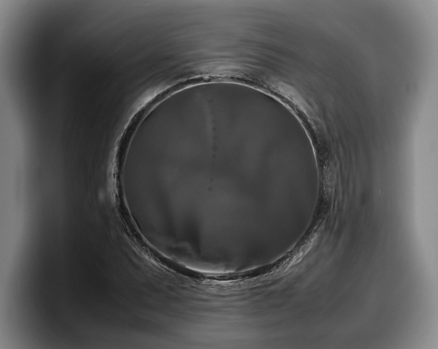 X0000100311071200806051451