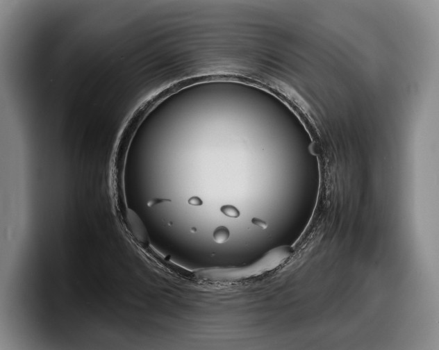 X0000100311072200806051451