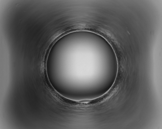 X0000100311073200806051451
