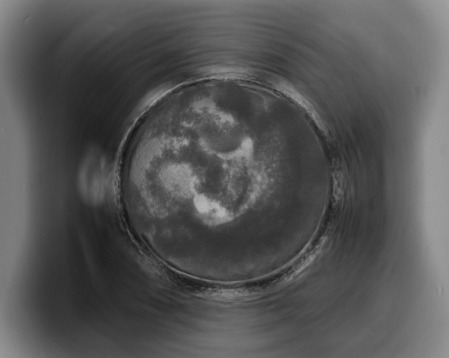 X0000100311074200806051451