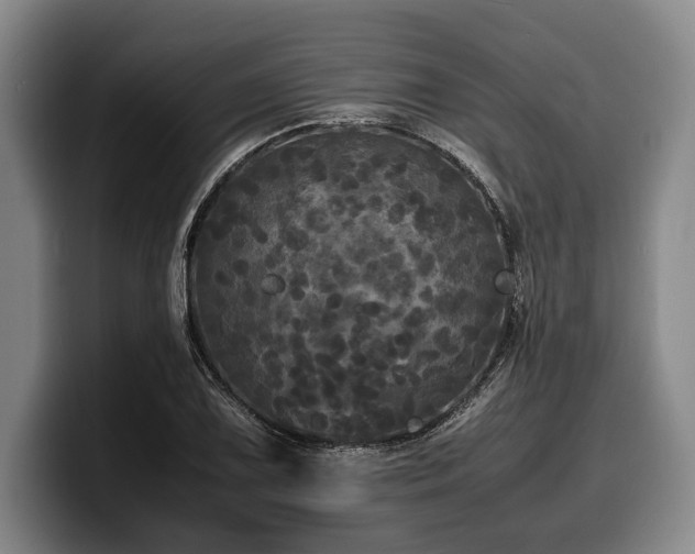 X0000100311075200806051451