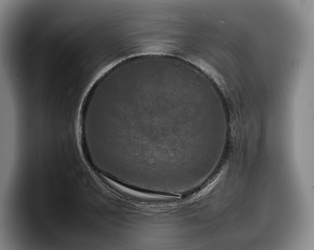 X0000100311077200806051451