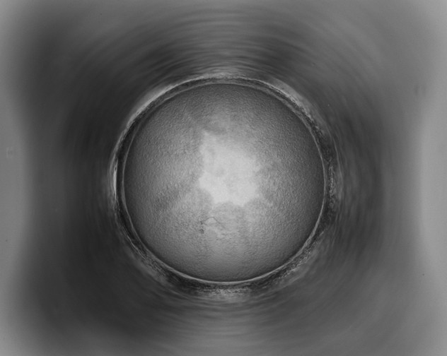 X0000100311078200806051451