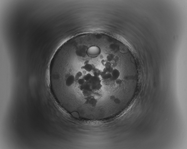 X0000100311079200806051451