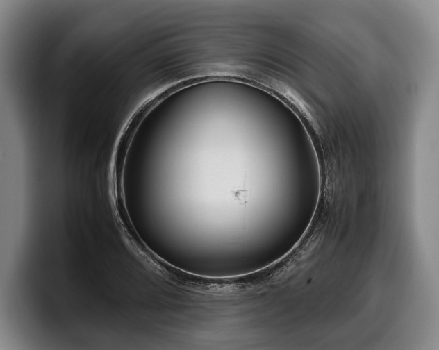 X0000100311080200806051451