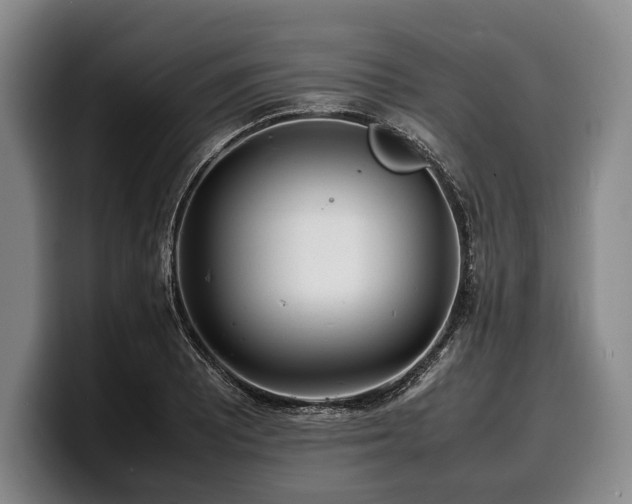 X0000100311081200806051451