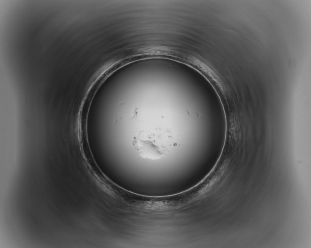 X0000100311082200806051451