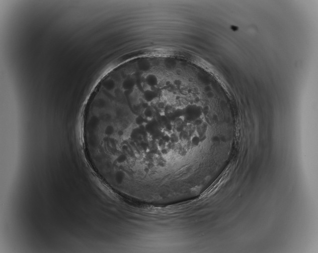 X0000100311083200806051451