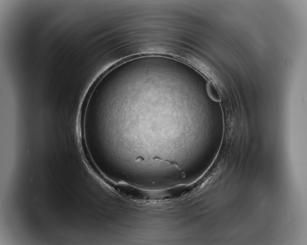 X0000100311084200806051451