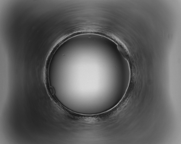 X0000100311085200806051451