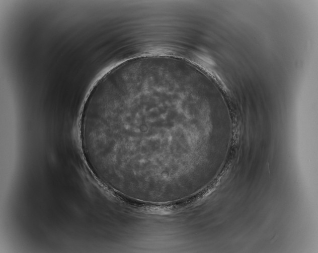 X0000100311086200806051451