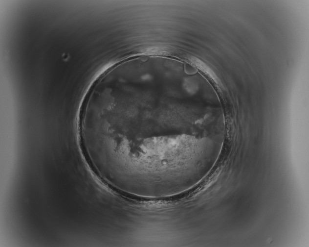 X0000100311087200806051451