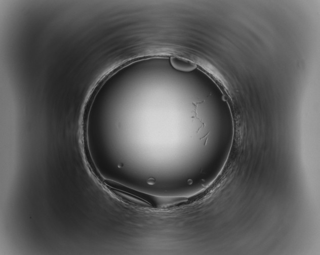 X0000100311088200806051451