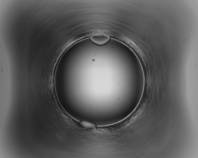 X0000100311089200806051451