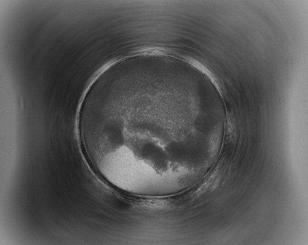 X0000100311090200806051451