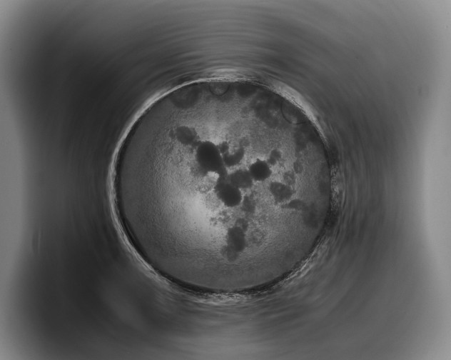 X0000100311091200806051451