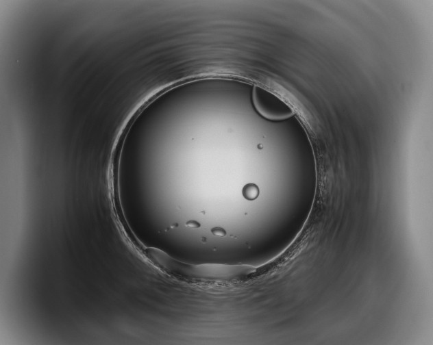 X0000100311092200806051450