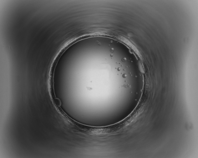X0000100311093200806051450