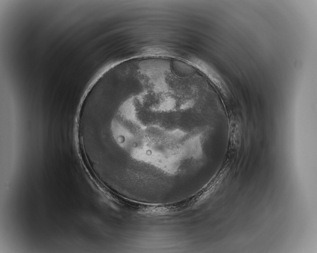 X0000100311094200806051450