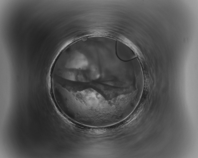 X0000100311095200806051450
