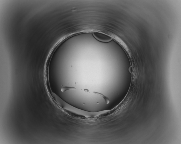 X0000100311096200806051450
