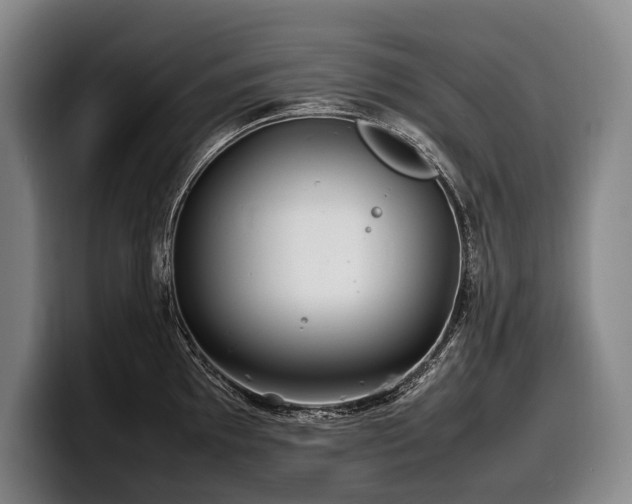 X0000100311097200806051450