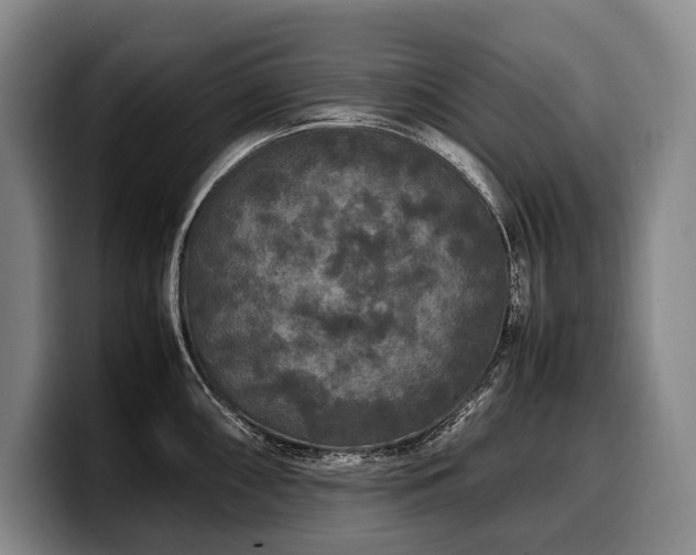 X0000100311098200806051450