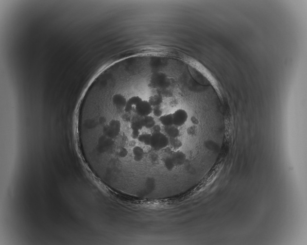 X0000100311099200806051450