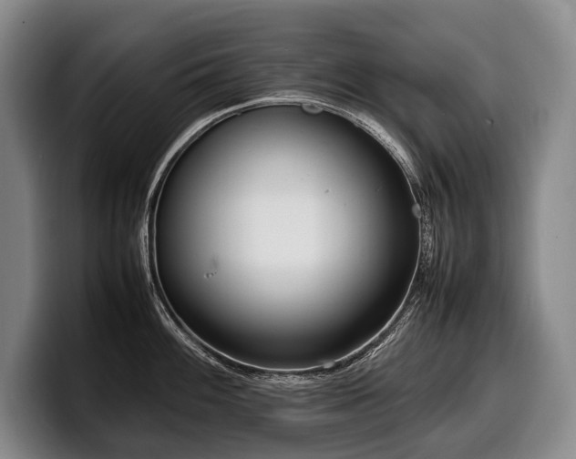 X0000100311100200806051450