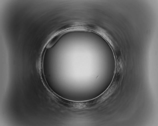 X0000100311101200806051450