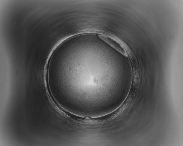 X0000100311102200806051450