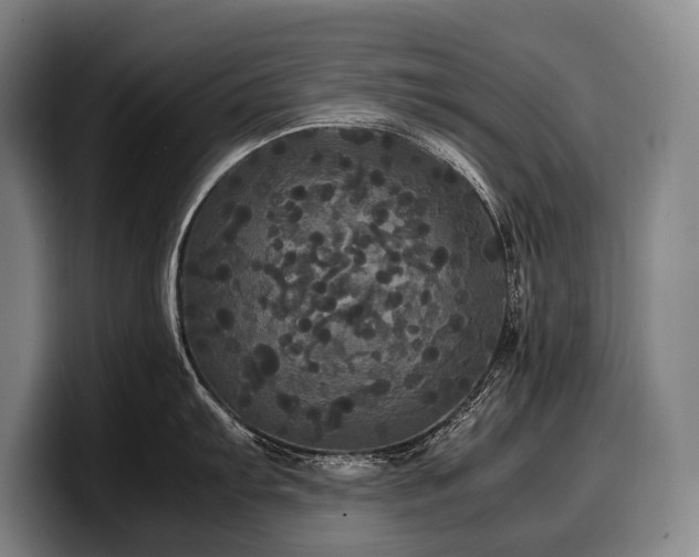 X0000100311103200806051450
