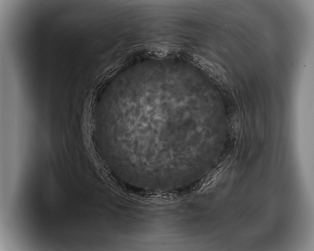 X0000100311105200806051450