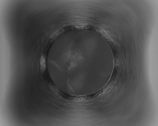 X0000100311106200806051450