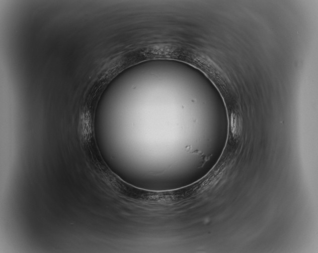 X0000100311107200806051450