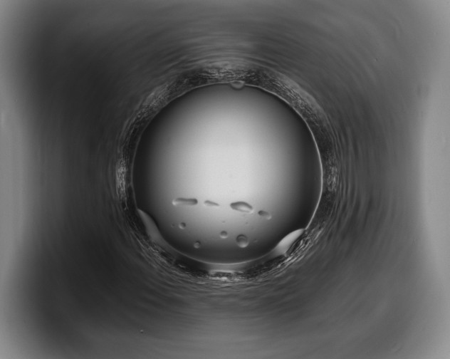 X0000100311108200806051450