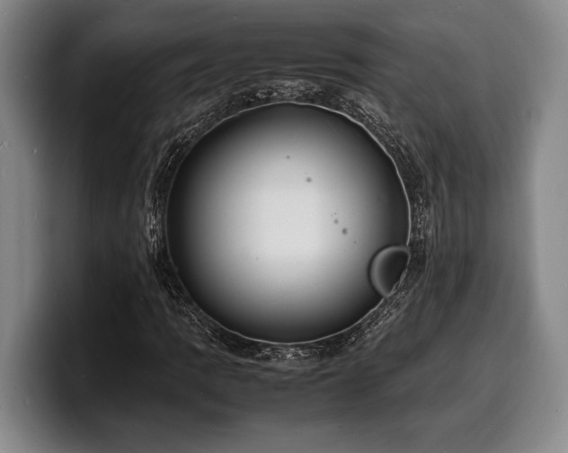 X0000100311109200806051450