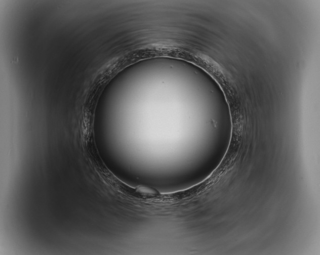 X0000100311110200806051450