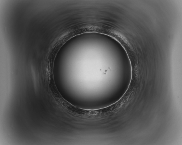 X0000100311111200806051450