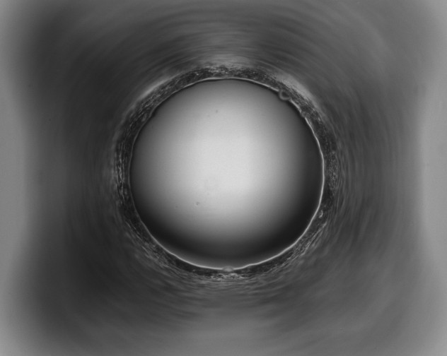 X0000100311112200806051450