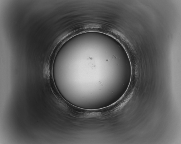 X0000100311113200806051450