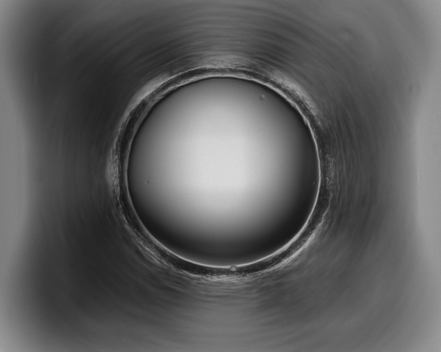 X0000100311114200806051450