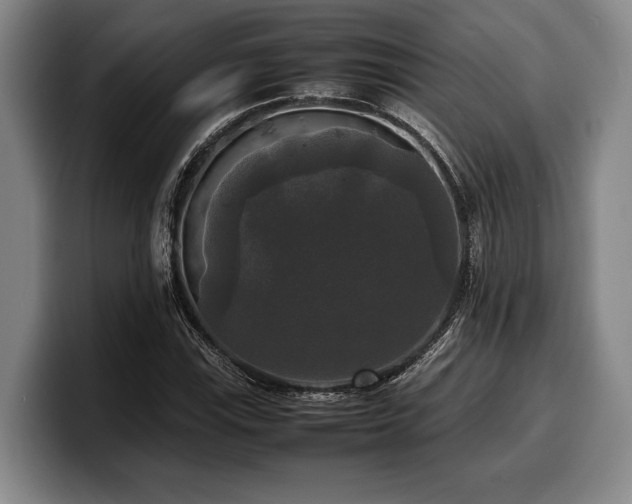 X0000100311115200806051450